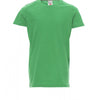 JELLY GREEN