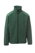 Verde scuro